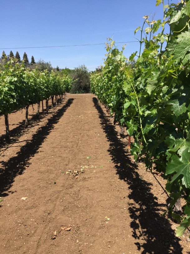 That's more like it.